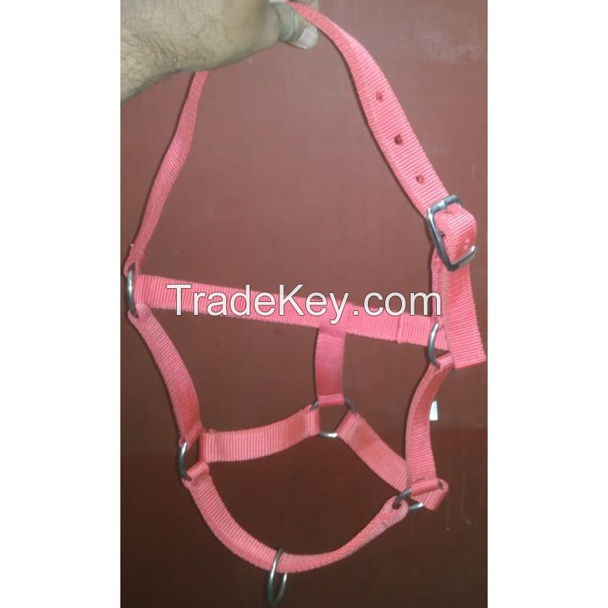 Genuine Imported PP horse bridle Red with rust proof fittings