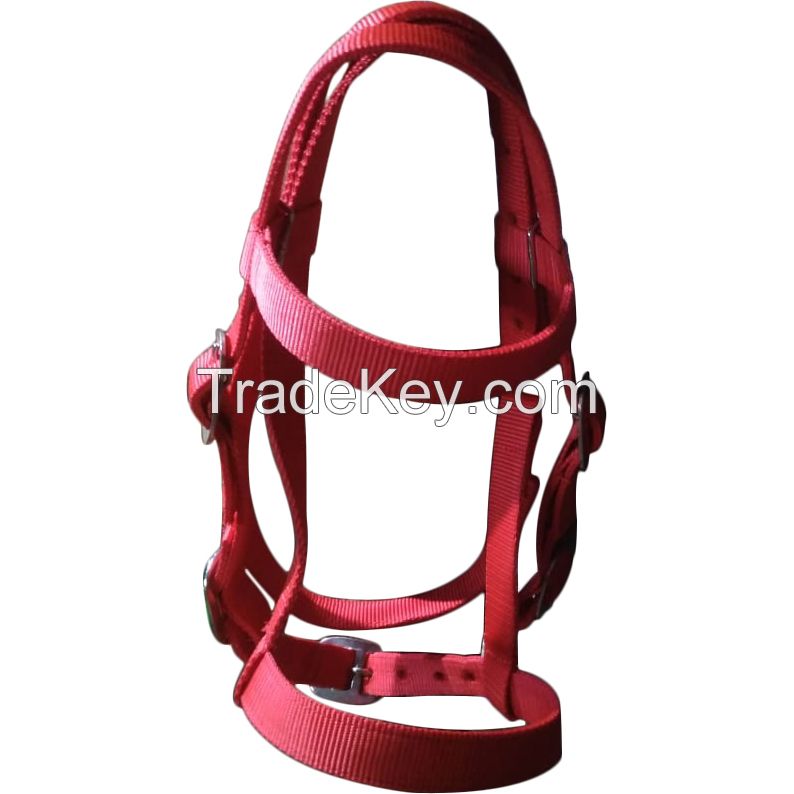 Genuine Imported PP horse bridle Red with rust proof fittings