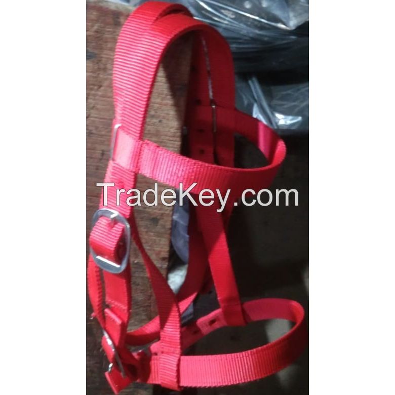 Genuine Imported PP horse bridle Red with rust proof fittings