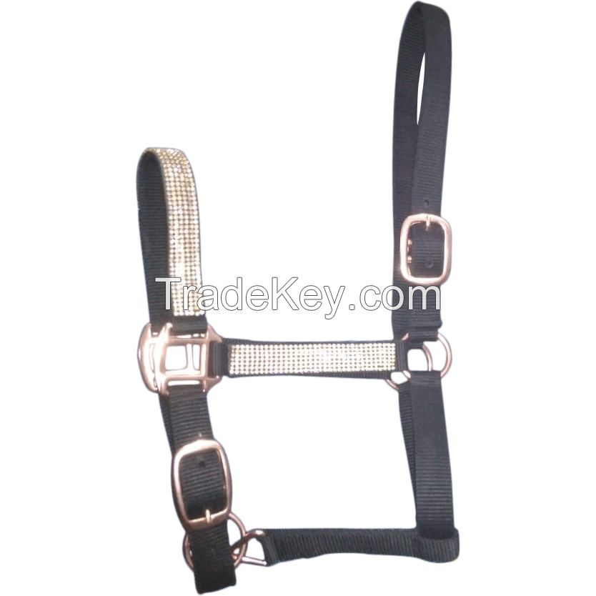 Genuine imported Quality horse PP Halter Blue and red