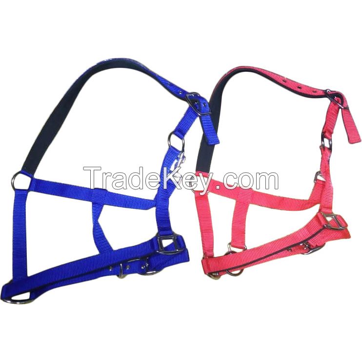 Genuine imported Quality horse PP Halter Blue and red