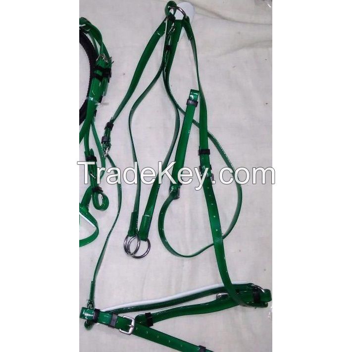 Genuine imported Quality PVC Riding Breastplate Green with rust proof fittings