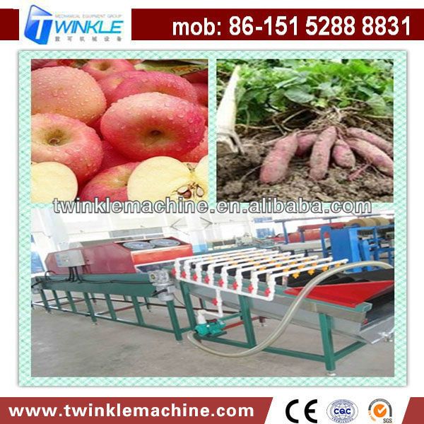 TK-W1000 HIGH CAPACITY FRUIT&VEGETABLE WASHING MACHINE ON SALE