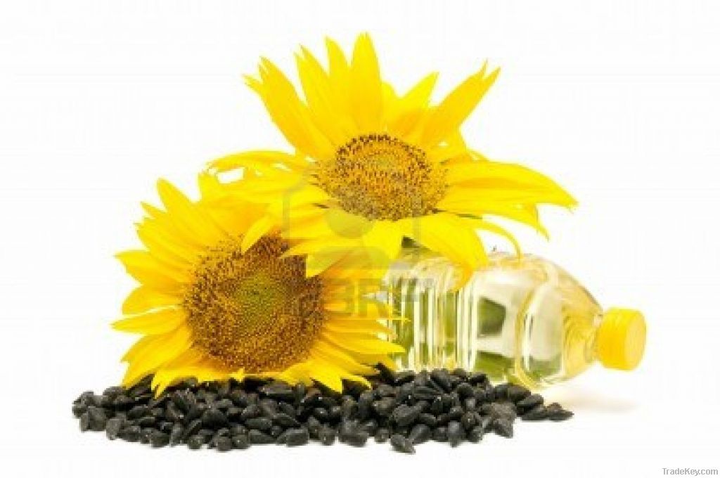 Sunflower Oil