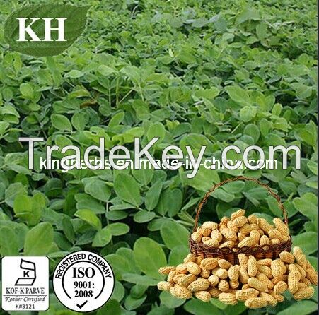 Peanut Shell Extract Luteolin 98%