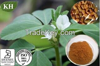 High Quality Fenugreek Seed Extract, 4-Hydroxyisoleucine