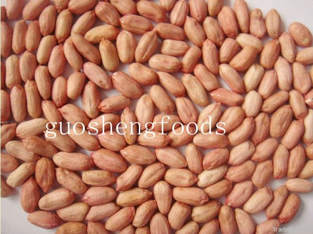 good quality new crop shandong peanuts kernels