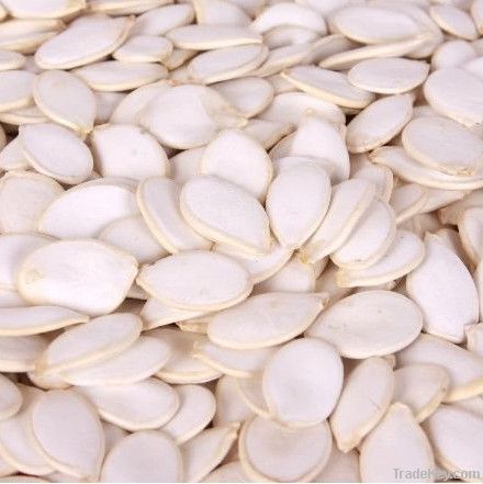 2013 crop snow white pumpkin seeds with good quality
