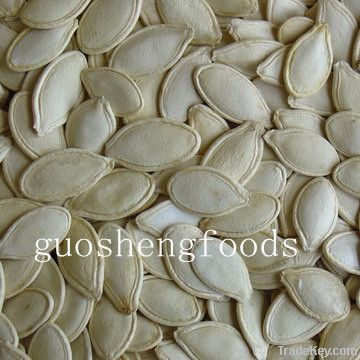 new crop shine skin pumpkin seeds with good quality