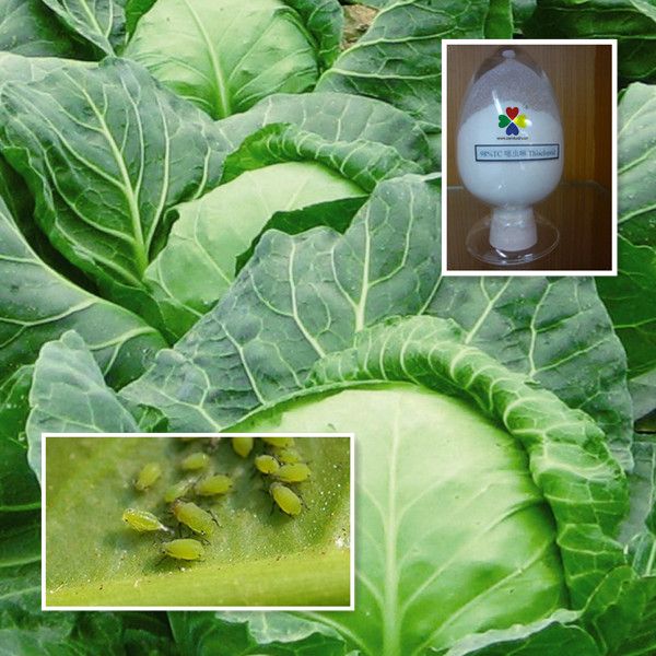 Agrochemical Pesticide Thiacloprid 98%TC