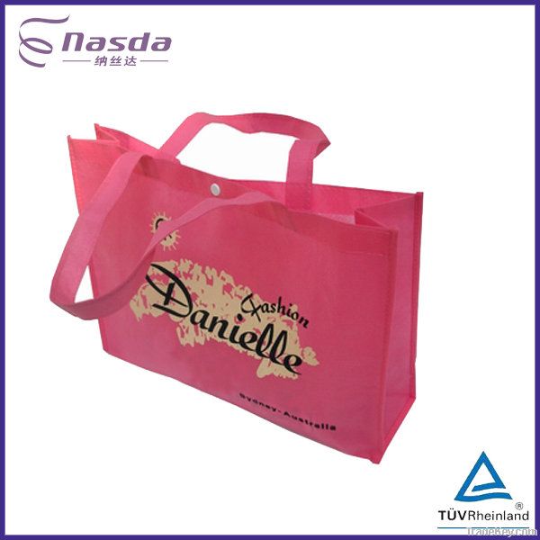 Lady Shopping Bag