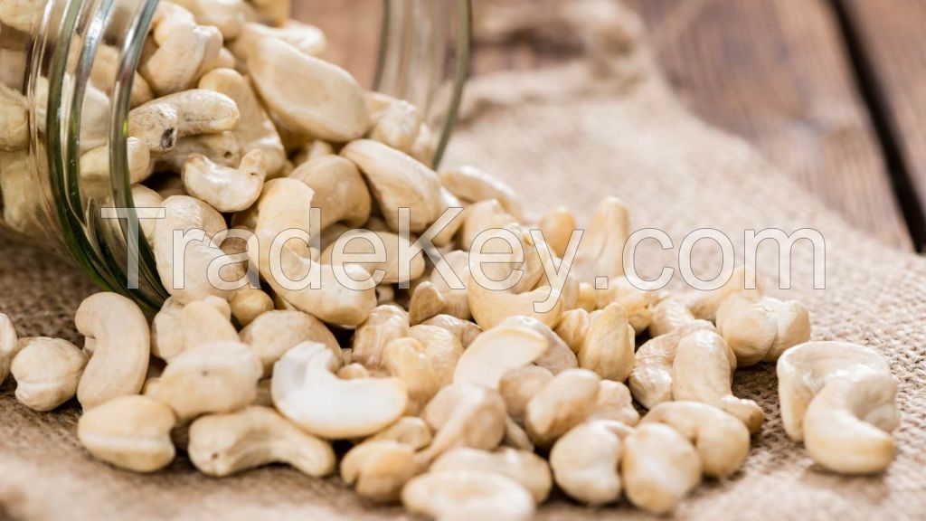 Pistachio Nuts, Cashew Nuts, Macadamia Nuts, Pecan Nuts, Pine Nuts, Brazil Nuts, Hazel Nuts, Almond Nuts, Walnuts, Betel Nuts, Ginkgo Nuts, Apricot Kernels, Cacao Nibs