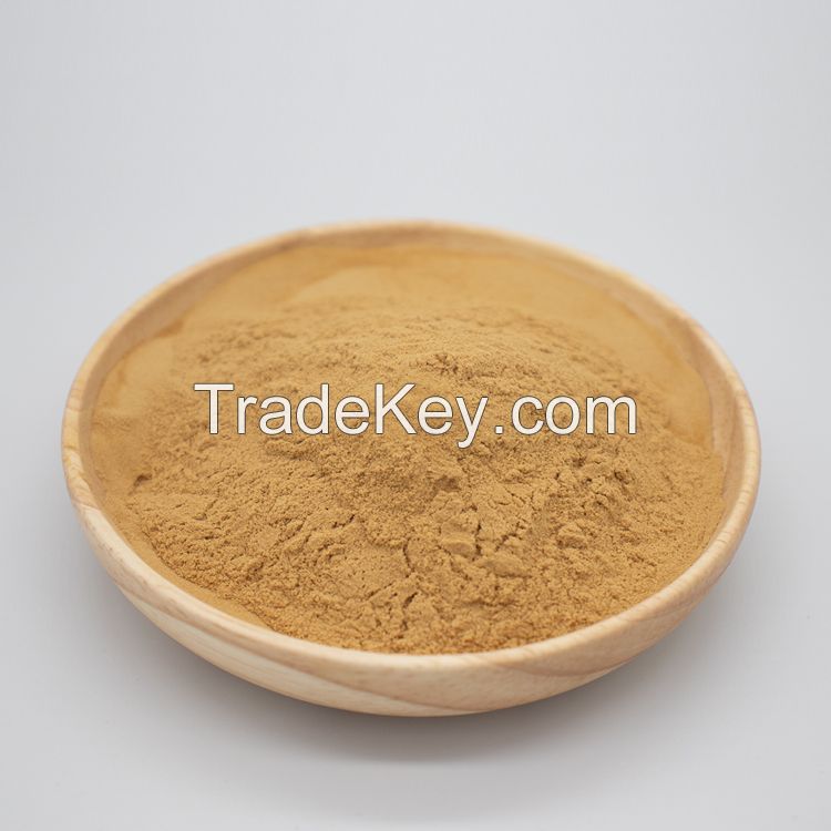 Sunflower Lecithin Powder, Soybeans Lecithin Powder