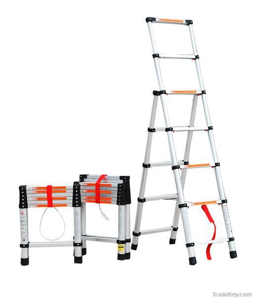 telescopic ladder