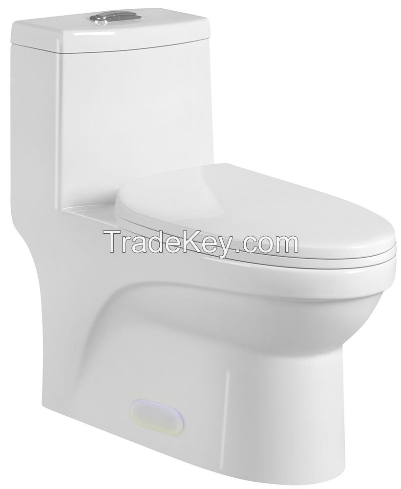 One piece toilet CL-12230