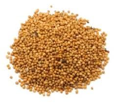 Lentils