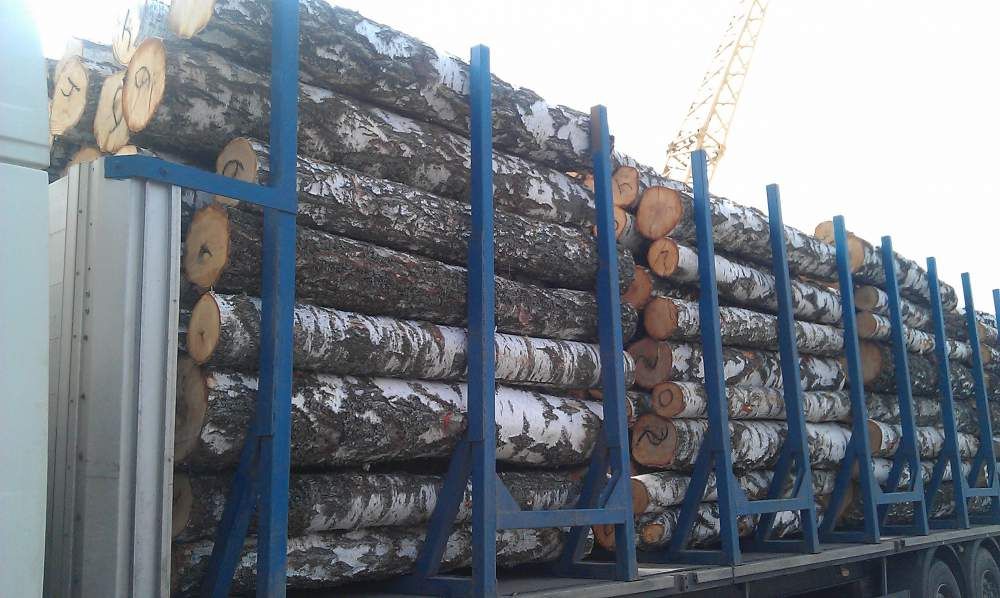 birch wood logs