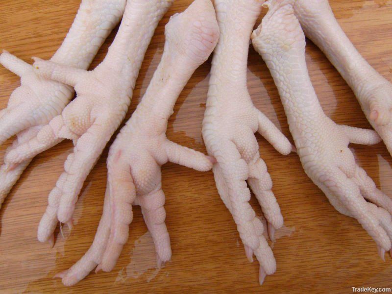 Frozen Halal  Chicken Paws