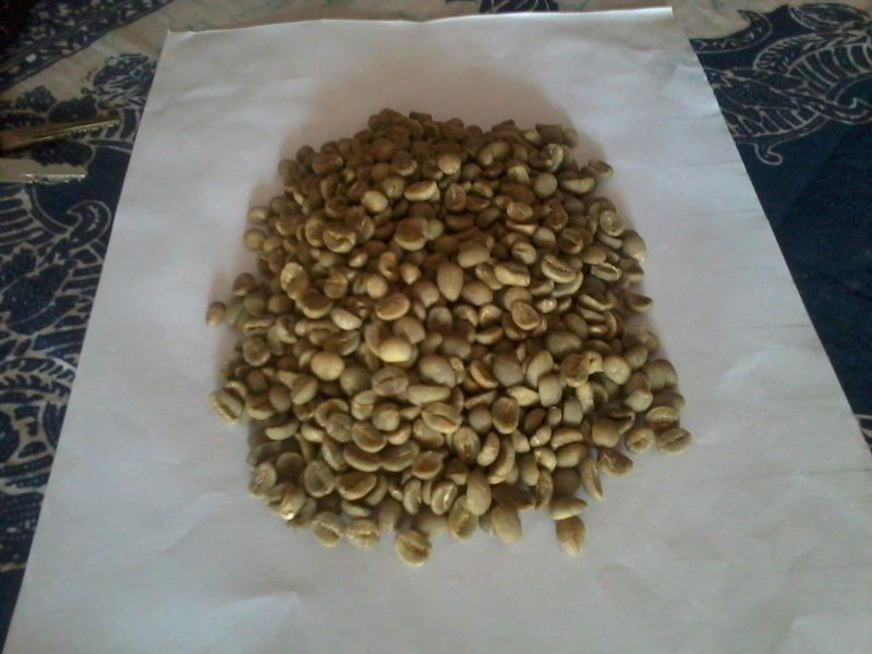 Robusta Kopi Luwak