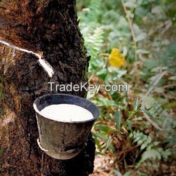 Natural Rubber Latex 60% HA DRC