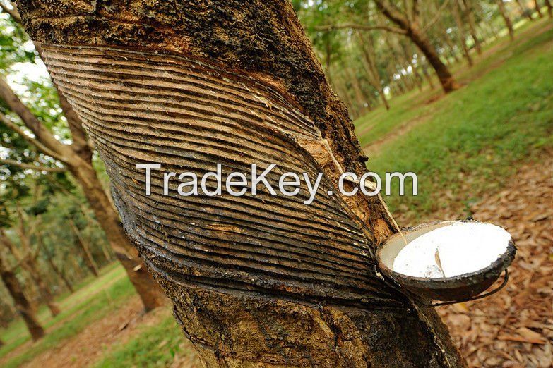 Natural Rubber Latex 60% HA DRC