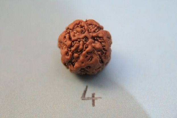 4 mukhi