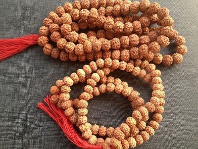 rudraksha