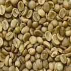 Robusta Green Coffee BeanS13, S16, S18