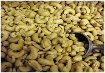 Cashew Nuts SK1 | 