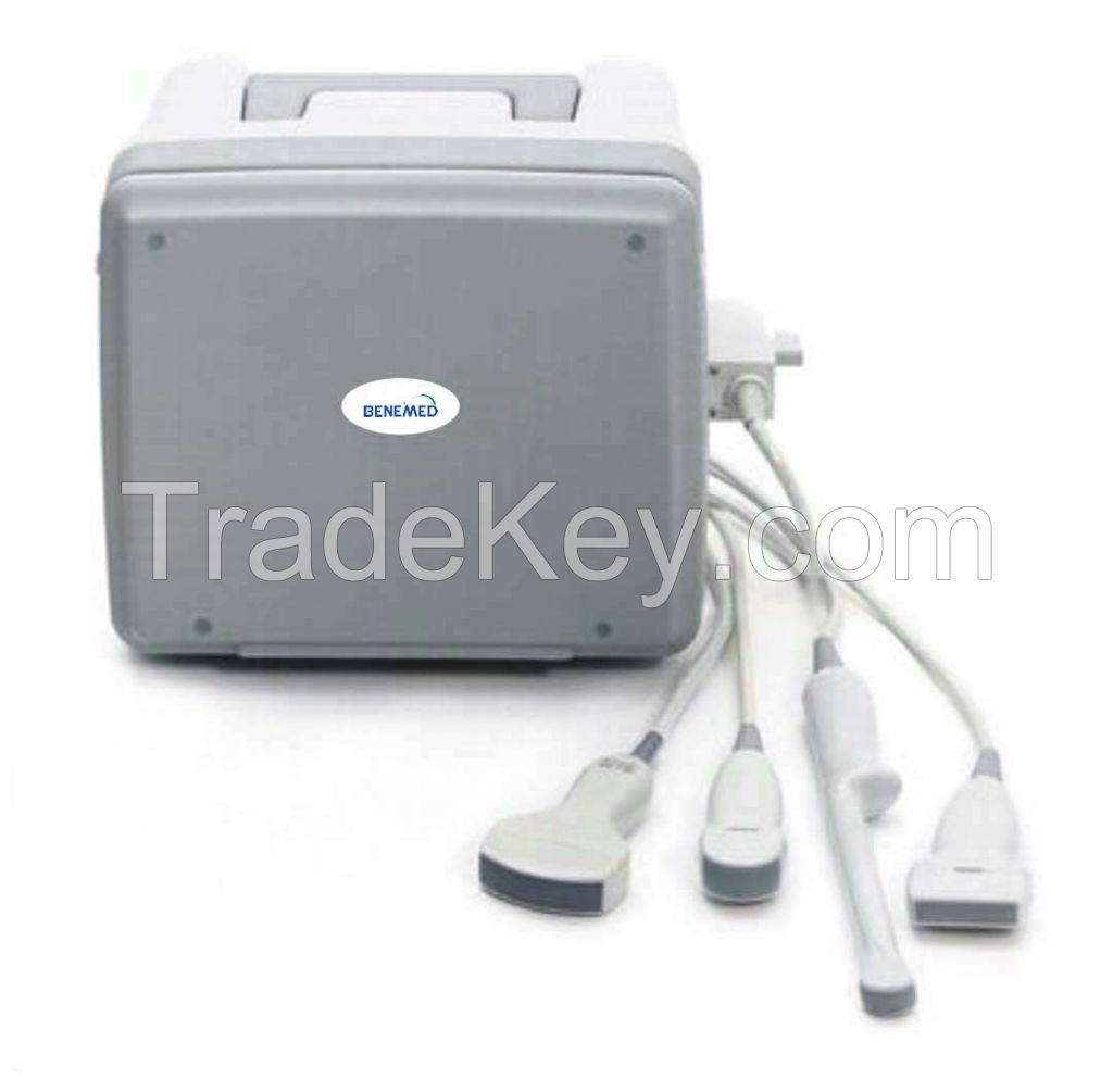 Digital Black and white ultrasound scanner with LED TFT color screen