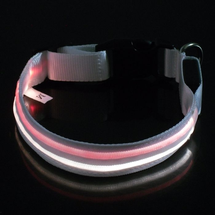 Dongguan specialized pet supplier led  dog collar