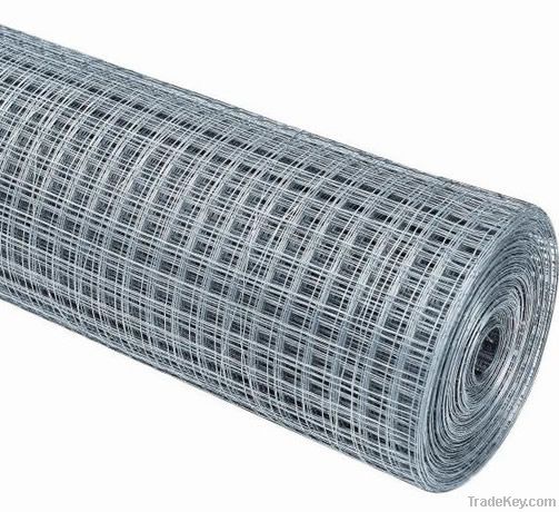 Electronic Galvanized Welded Wire Mesh