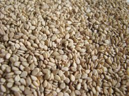Pumkin seeds|sunflower Seed| Kidney Bean| Cashew Nuts|peanuts|groundnuts