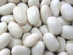 Pumkin seeds|sunflower Seed| Kidney Bean| Cashew Nuts|peanuts|groundnuts