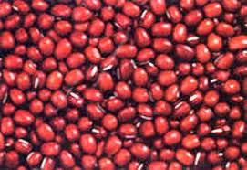 Black Beans | Chickpeas | Fava | Kidney Bean | Soybeans