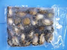 Escargots Petit Gris. Frozen Snails ( Helix Aspersa Muller ).