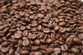 Arabica coffee beans