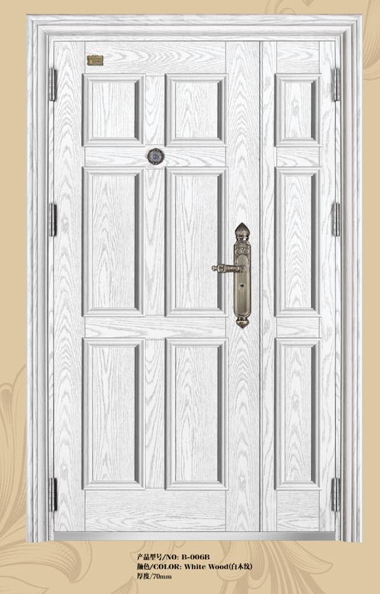 steel front doors with competitive price