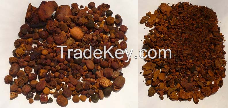 Cattle Ox Gallstones, Dried Quality