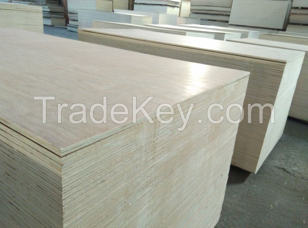 Baier High Quality Plywood Poplar 3-18mm for furniture using