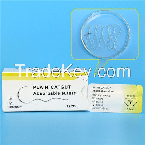 Plain catgut suture