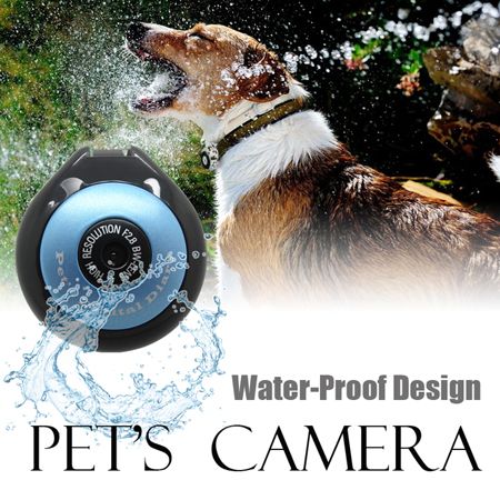 pet camera wholesale