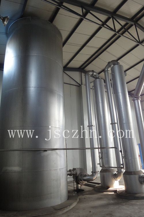 Fixed bed biomass gasification power plant