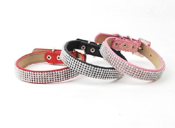 beautiful pet collar