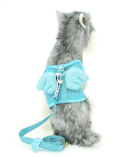 blue wing dog harness