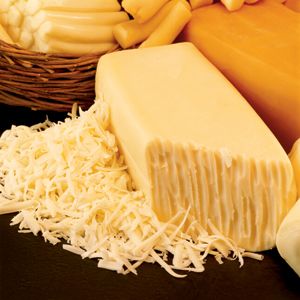 Cheese - Mozzarella