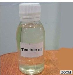 100% Pure tea tree oil plant essential oil 