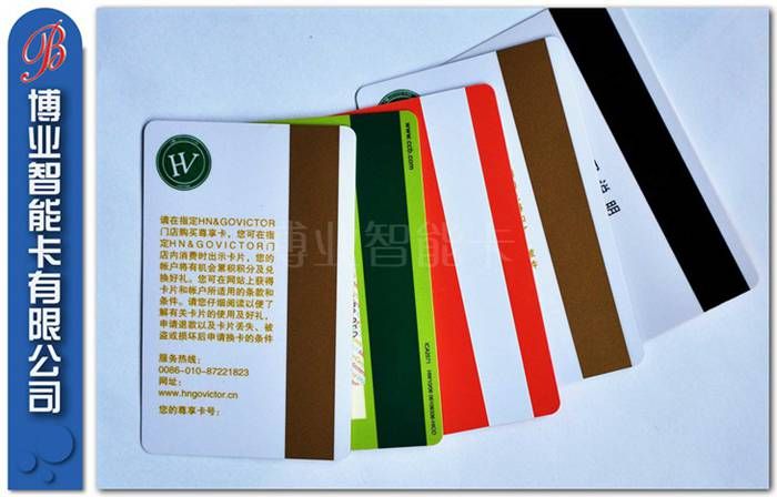 Popular PVC Magnetic Stripe Card