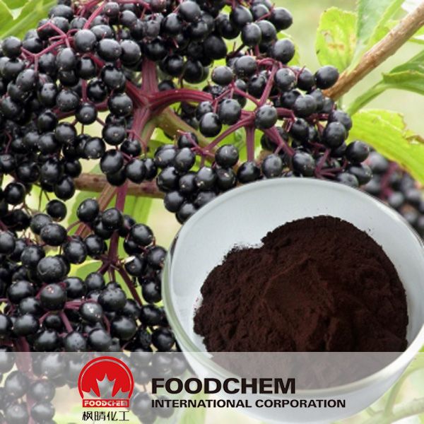 Anthocyanin Color Powder