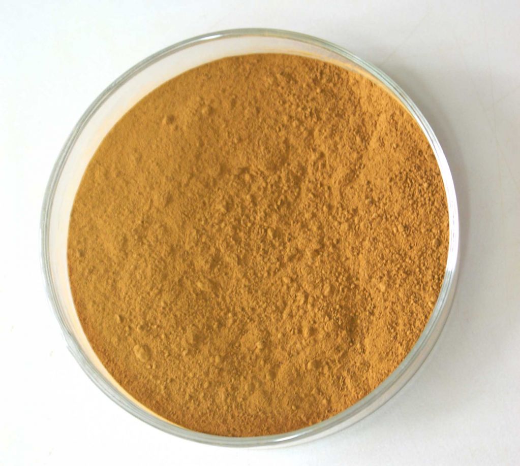 High Quanlity Resveratrol Bulk Powder